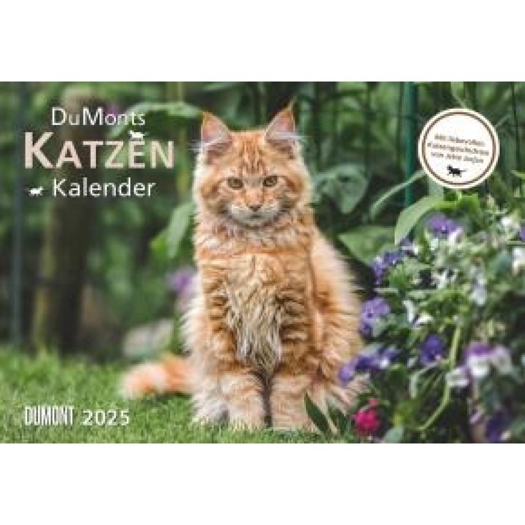 DUMONT - DUMONTS Katzenkalender 2025 Broschürenkalender, 42x29cm, Wandkalender mit kurzweiligen Katzengeschichten von Je