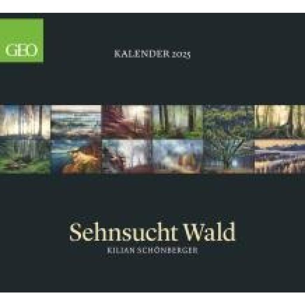 GEO Kalender: Sehnsucht Wald 2025 - Wand-Kalender - Natur-Kalender - 60x55