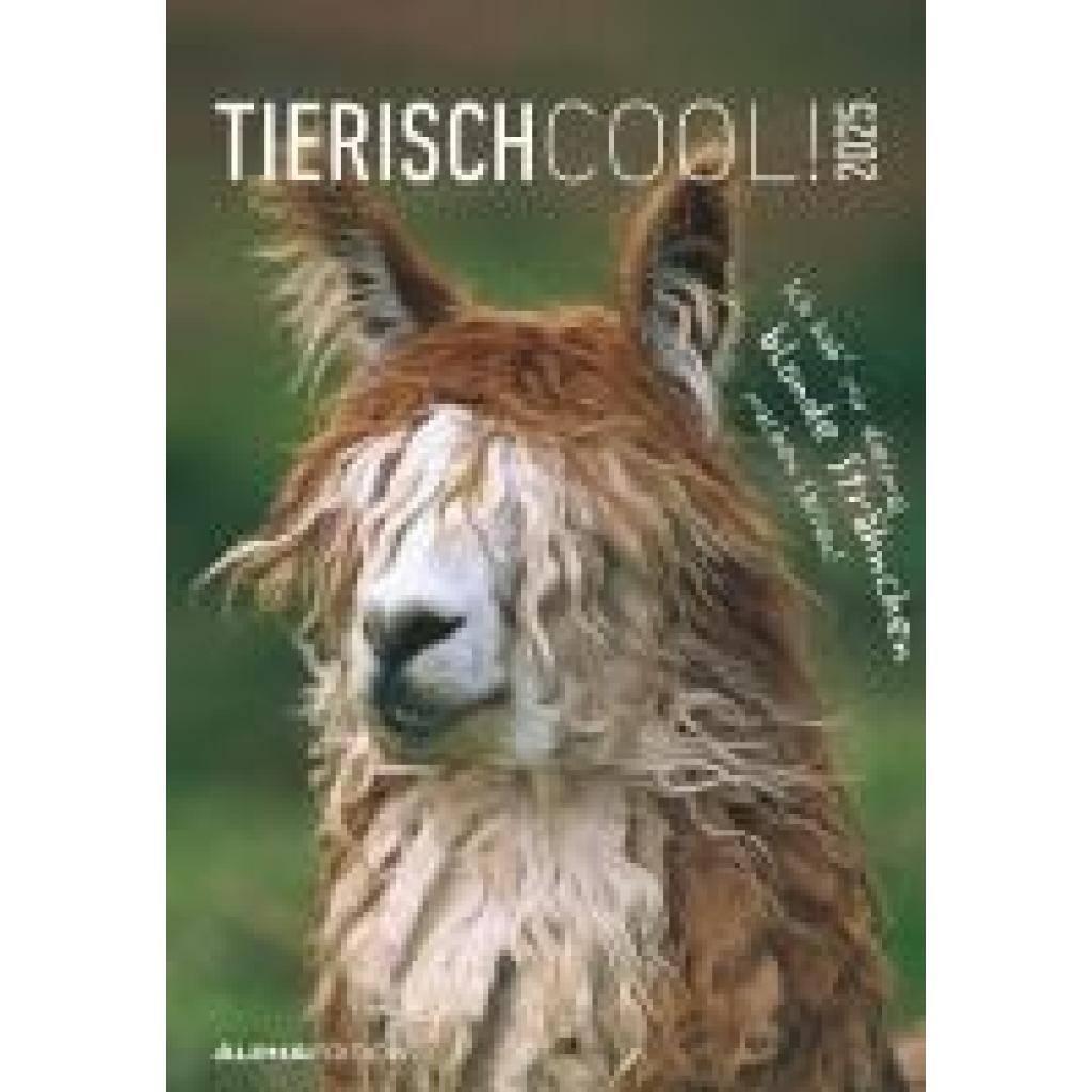 Tierisch cool! 2025 - Bild-Kalender 23,7x34 cm - mit lustigen Sprüchen - Humor - Wandkalender - mit Platz für Notizen - 