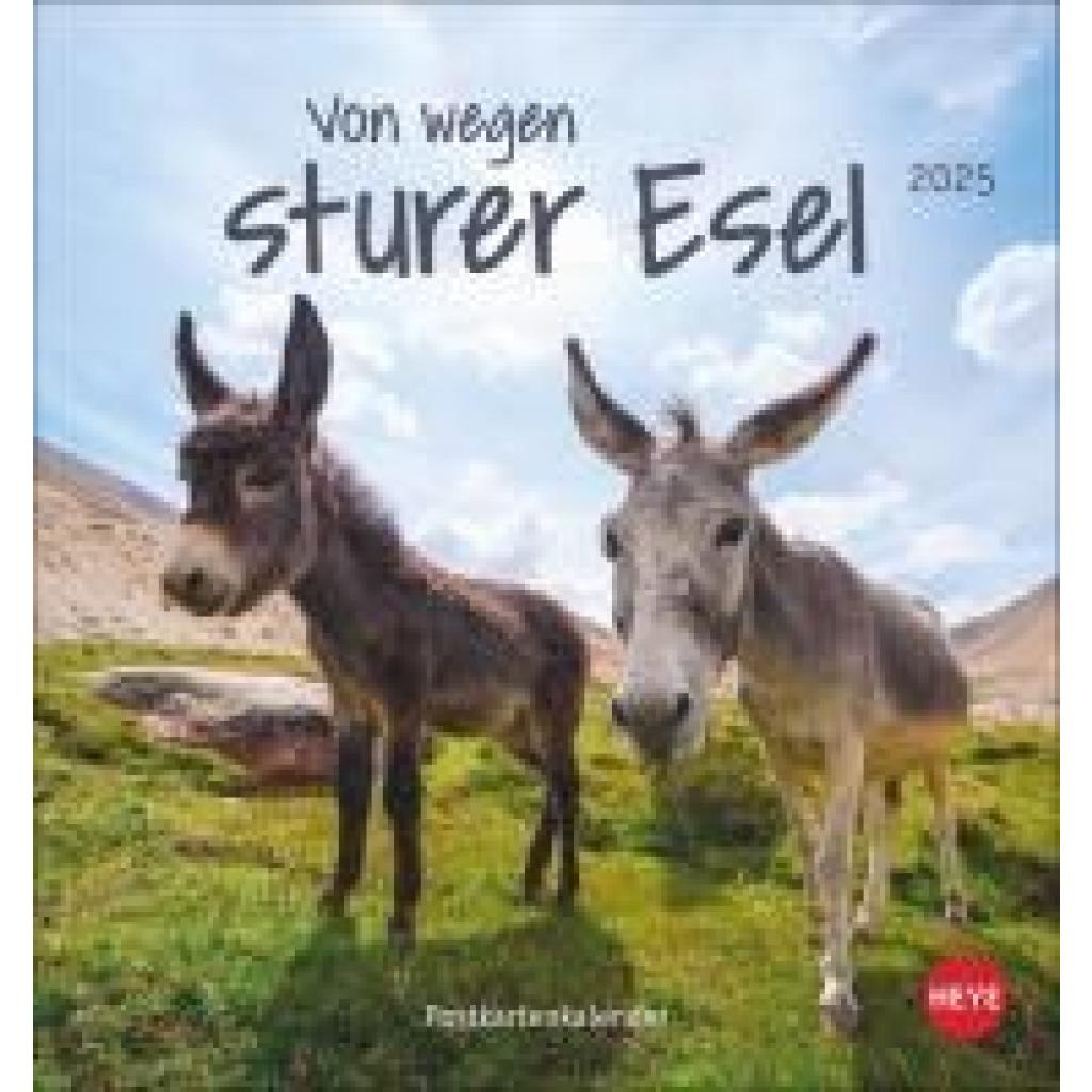 Esel Postkartenkalender 2025 - Von wegen sturer Esel