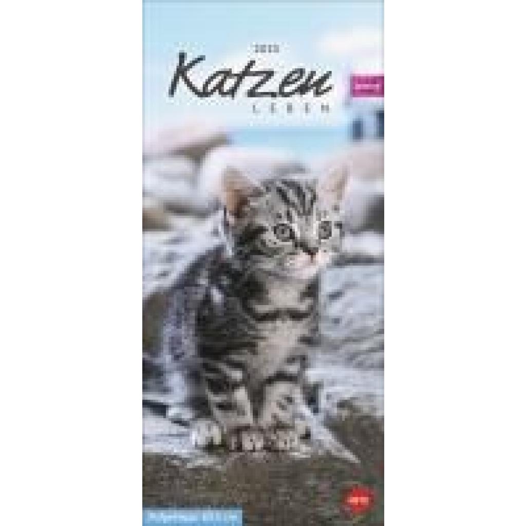 Whiskas Katzenleben Kalender 2025