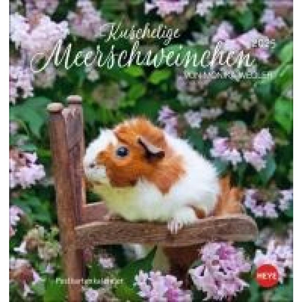 Kuschelige Meerschweinchen Postkartenkalender 2025