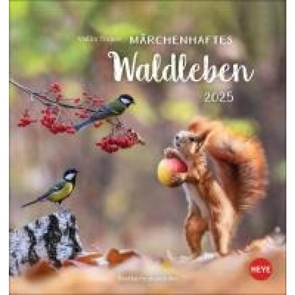 Vadim Trunov: Märchenhaftes Waldleben Postkartenkalender 2025