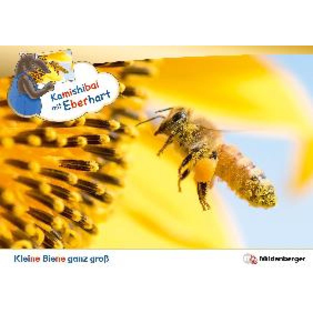 Brandau, Nicole: Kamishibai mit Eberhart - Kleine Biene ganz groß - Set