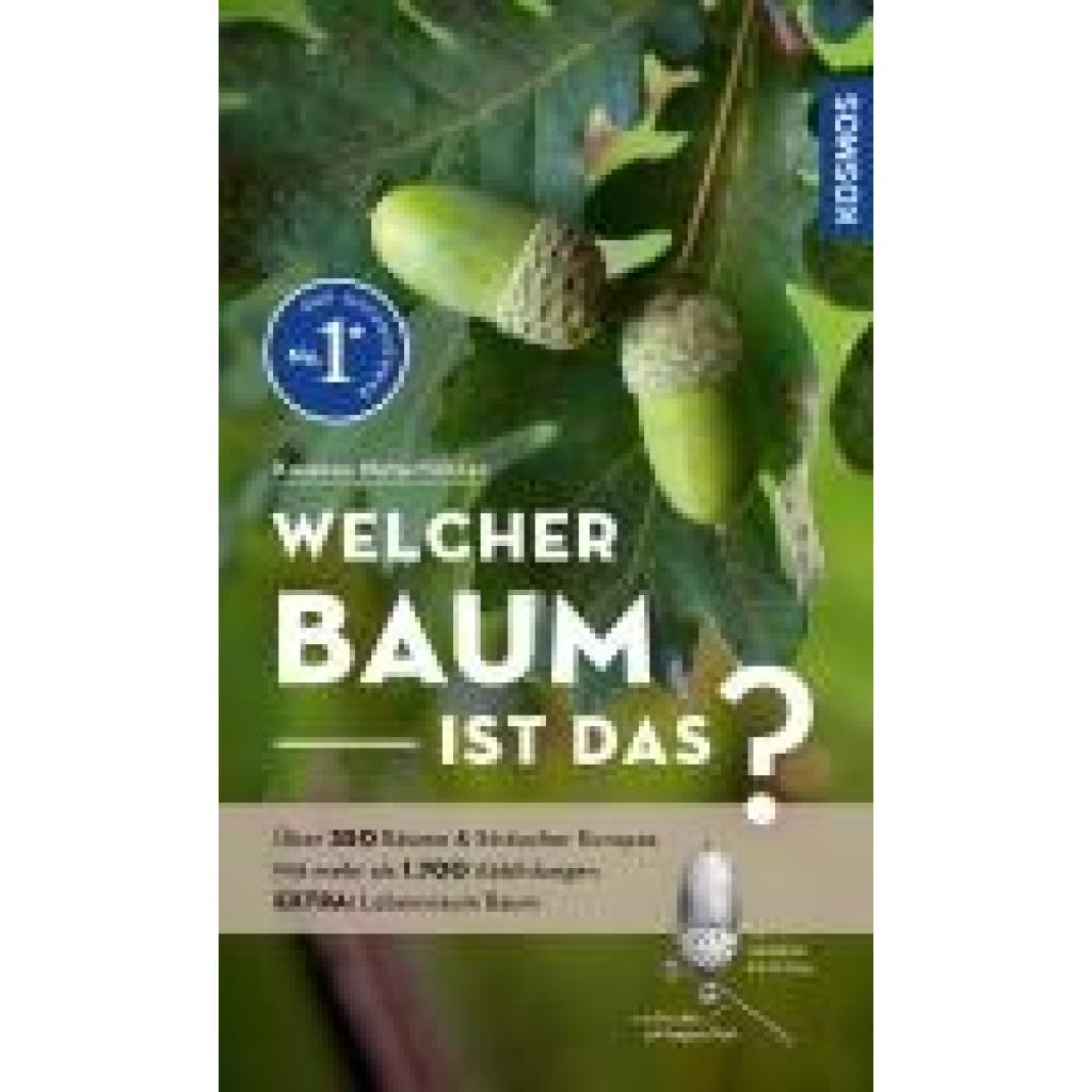 9783440180013 - Spohn Margot Welcher Baum ist das?