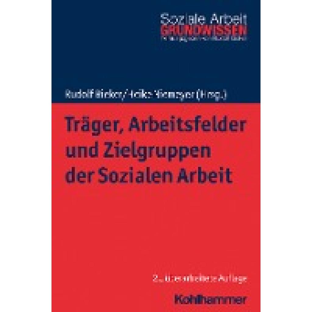 9783170419599 - Träger Arbeitsfelder und Zielgruppen der Sozialen Arbeit Kartoniert (TB)