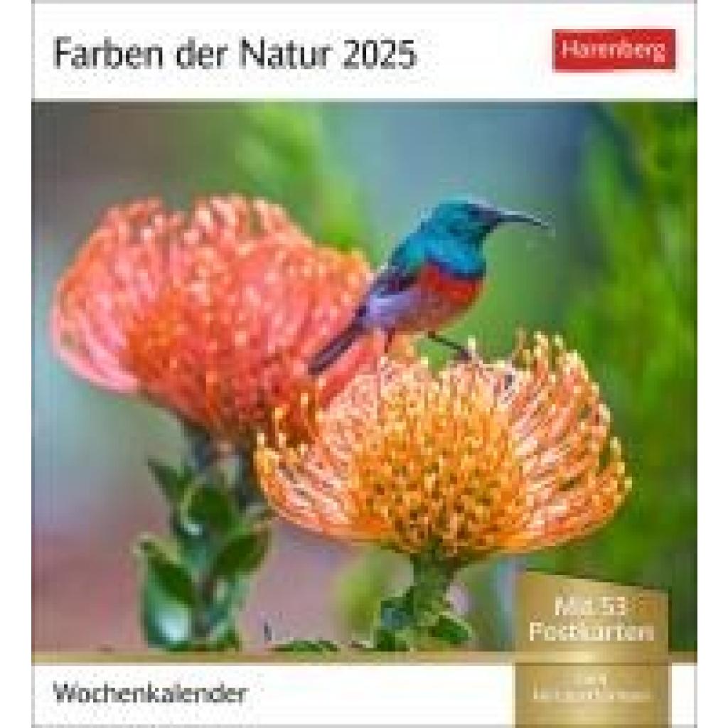 Farben der Natur Postkartenkalender 2025 - Wochenkalender mit 53 Postkarten