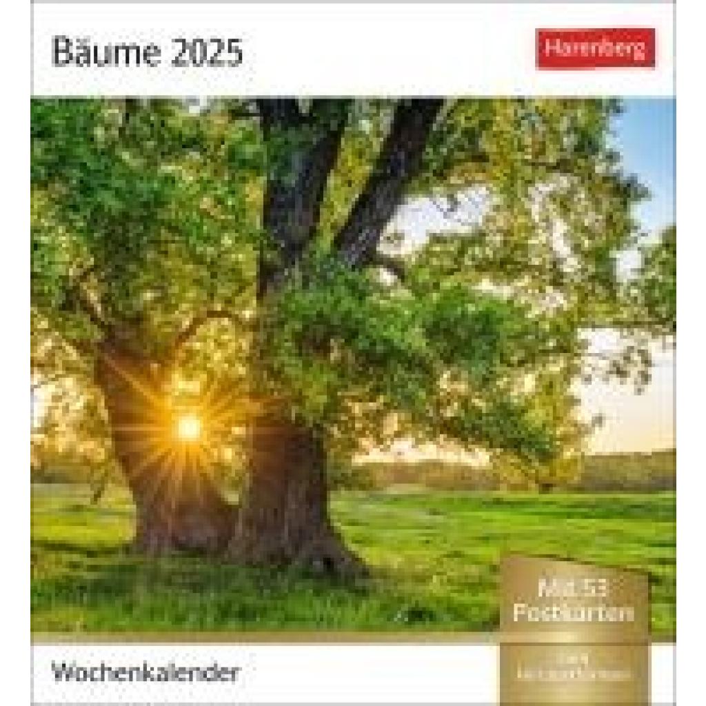 Bäume Postkartenkalender 2025 - Wochenkalender mit 53 Postkarten