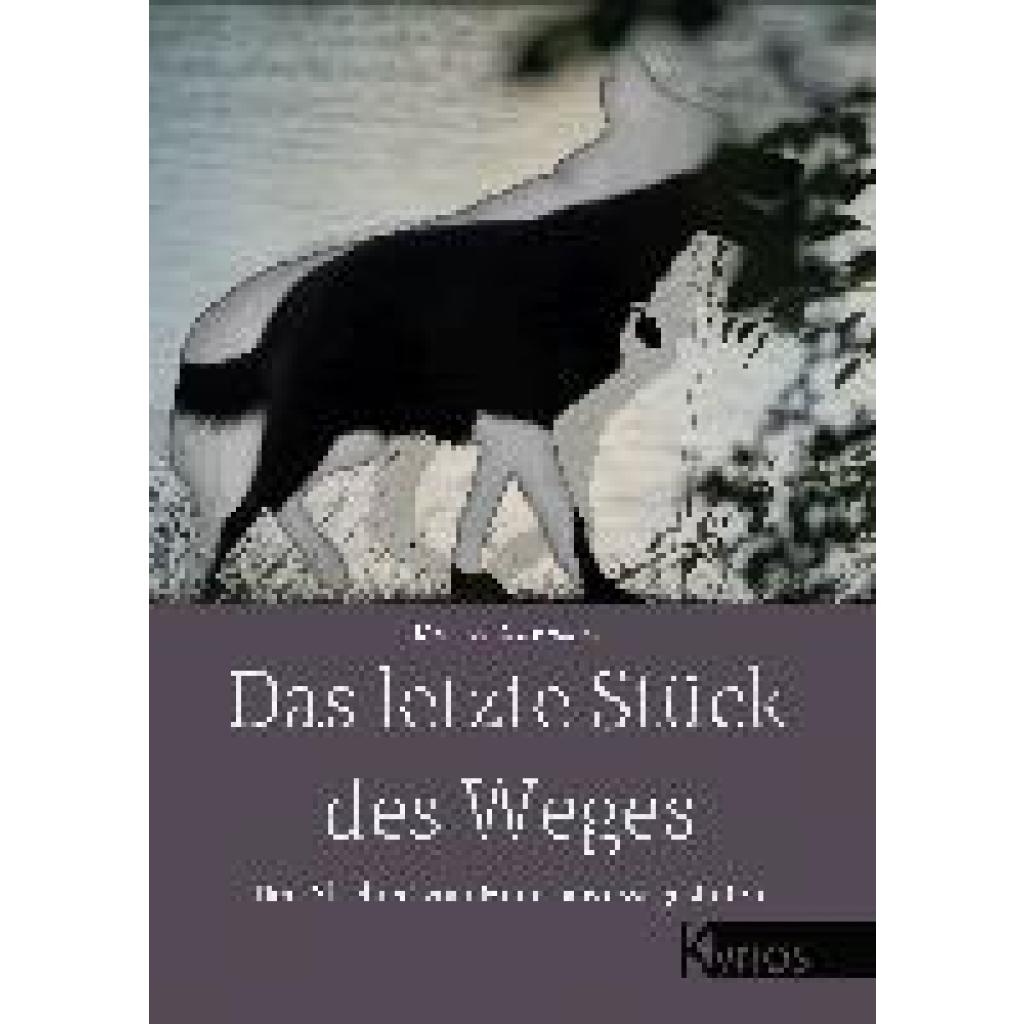 9783954642854 - Das letzte Stück des Weges - Michaela Schwestka Kartoniert (TB)