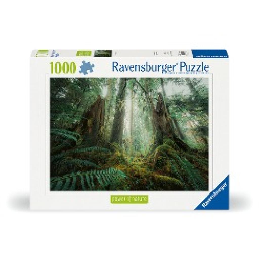 Ravensburger Puzzle Nature Edition 12000292 - Faszinierender Wald - 1000 Teile Puzzle für Erwachsene und Kinder ab 14 Ja