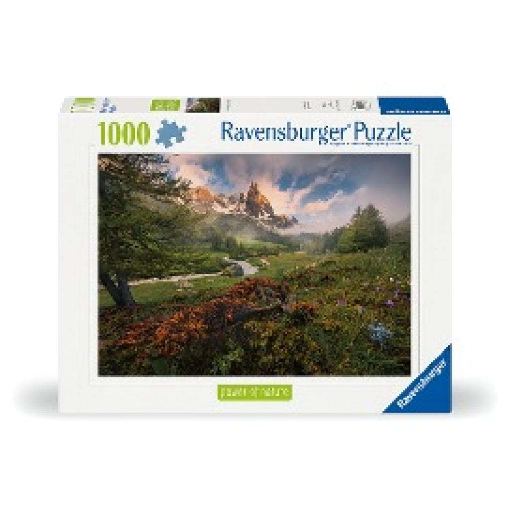 Ravensburger Puzzle 12000074 - Malerische Stimmung im Vallée - 1000 Teile Puzzle für Erwachsene und Kinder ab 14 Jahren,