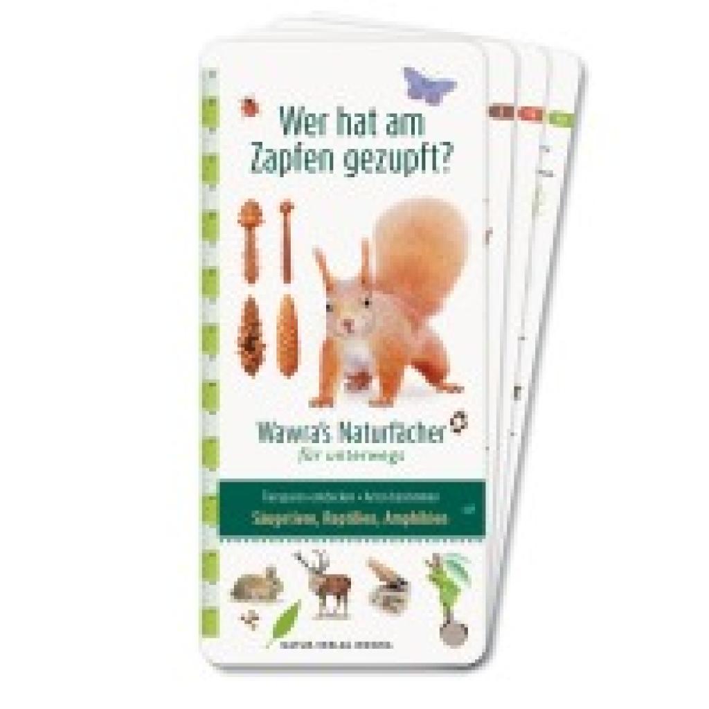9783981548587 - Wer hat am Zapfen gezupft? - Wawras Naturfächer für unterwegs - Ursula Wawra Taschenbuch