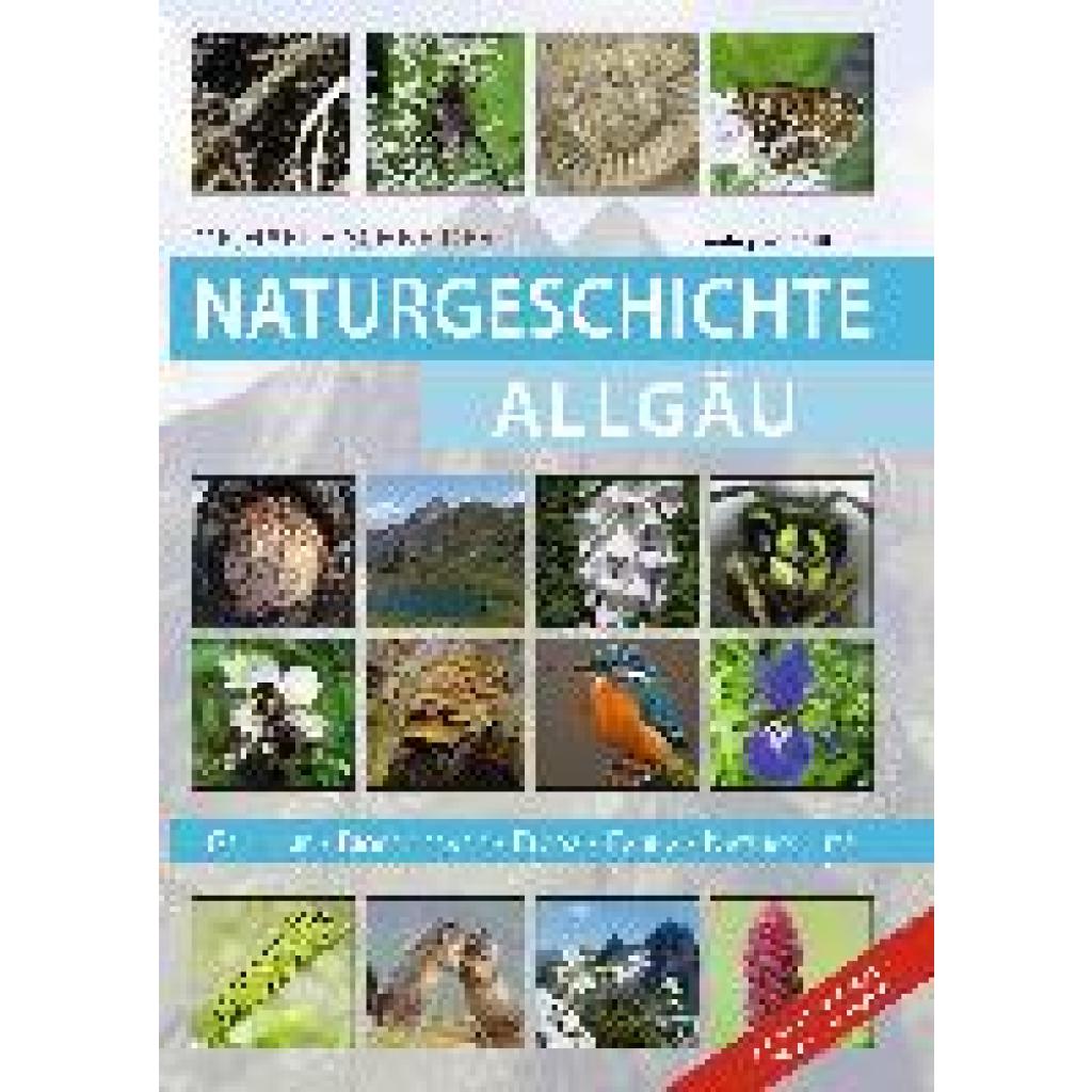 9783955054588 - Naturgeschichte Allgäu - Michael F Schneider Kartoniert (TB)