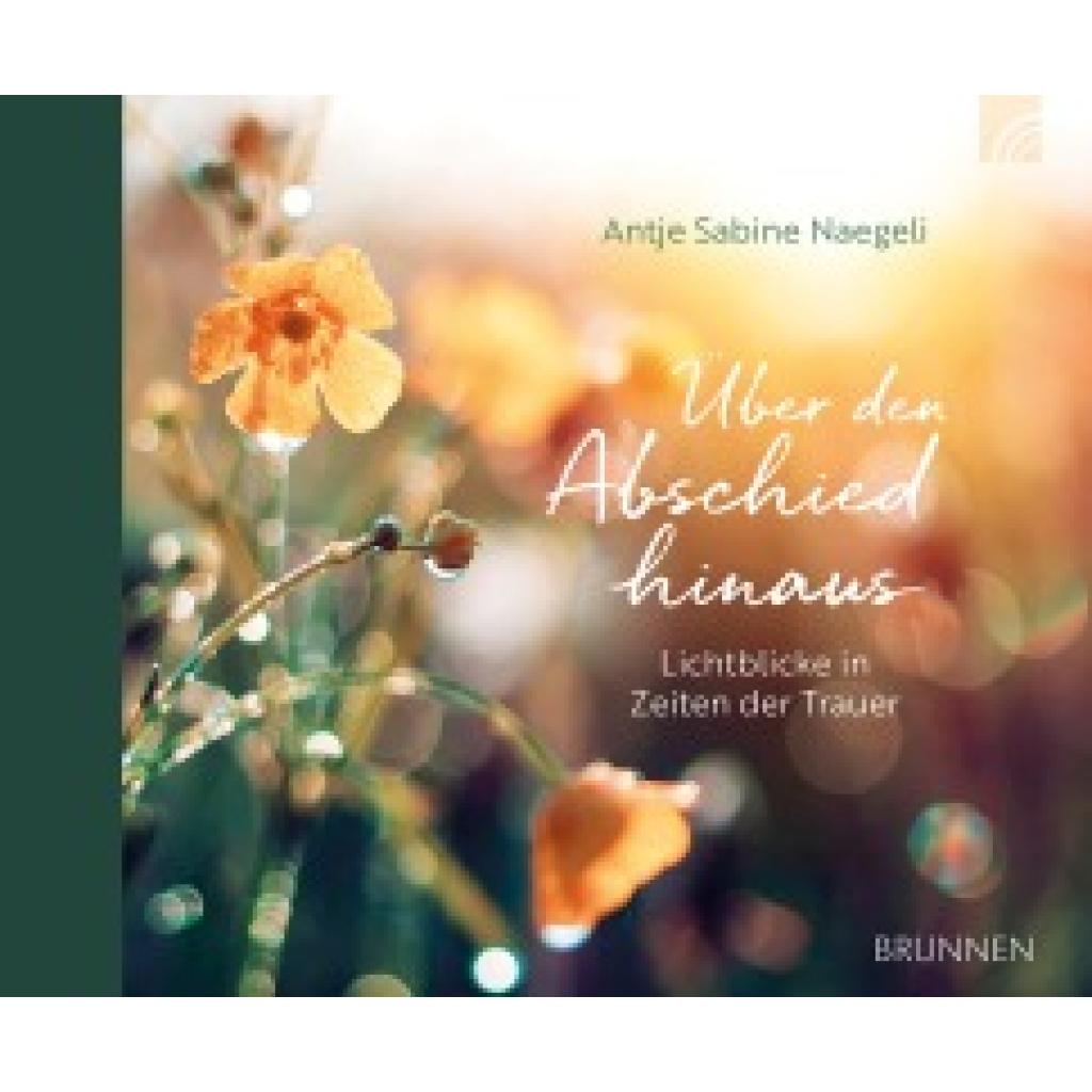 9783765533228 - Naegeli Antje Sabine Über den Abschied hinaus 9783765533228 - Naegeli Antje Sabine Über den Abschied hinaus