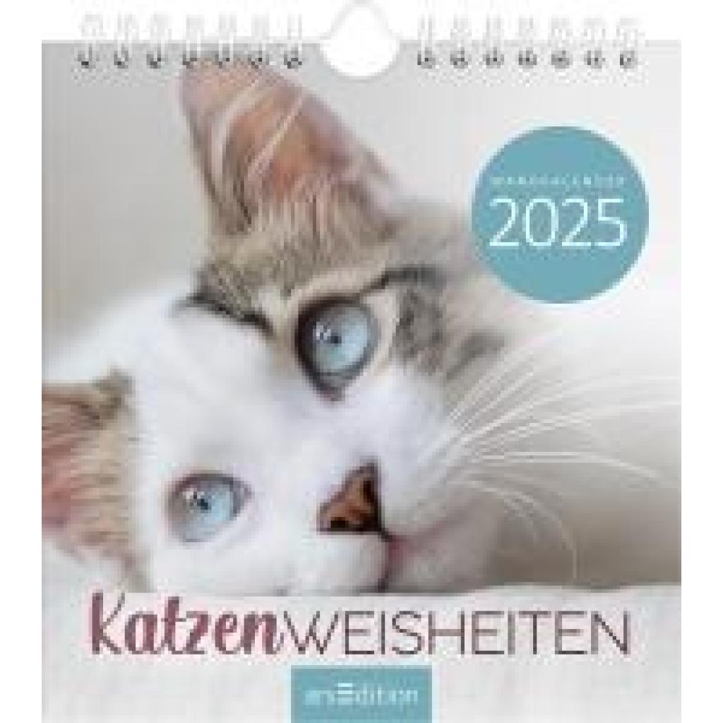 Wandkalender Katzenweisheiten 2025