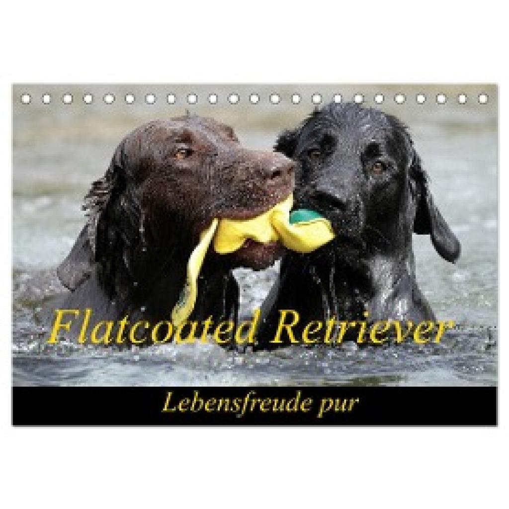 Beatrice Müller, Beam: Flatcoated Retriever (Tischkalender 2025 DIN A5 quer), CALVENDO Monatskalender