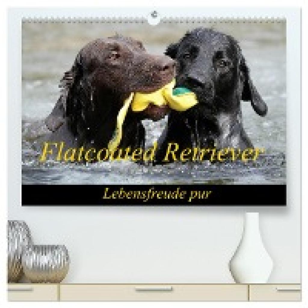 Beatrice Müller, Beam: Flatcoated Retriever (hochwertiger Premium Wandkalender 2025 DIN A2 quer), Kunstdruck in Hochglan