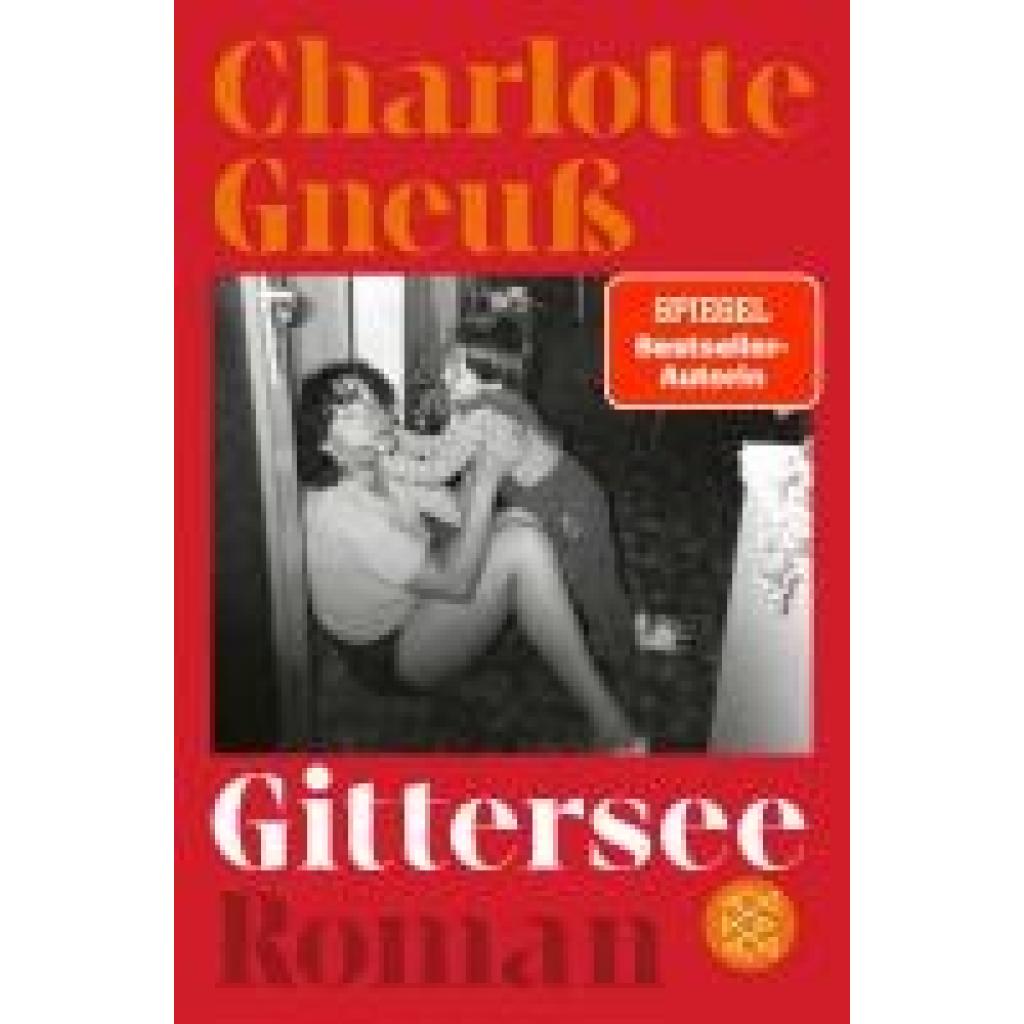 9783596710355 - Gneuß Charlotte Gittersee 9783596710355 - Gneuß Charlotte Gittersee