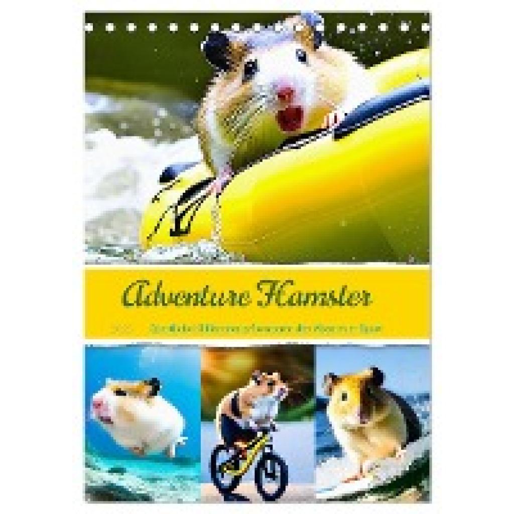 Schimak, Fred: Adventure Hamster - Sportliche KI Hamster präsentieren den Abenteuer-Sport (Tischkalender 2025 DIN A5 hoc