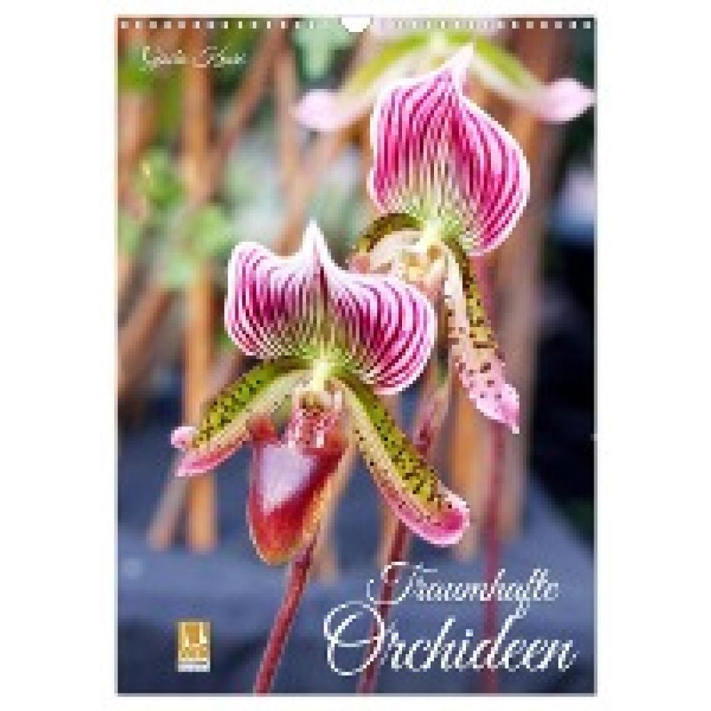 Kruse, Gisela: Traumhafte Orchideen (Wandkalender 2025 DIN A3 hoch), CALVENDO Monatskalender