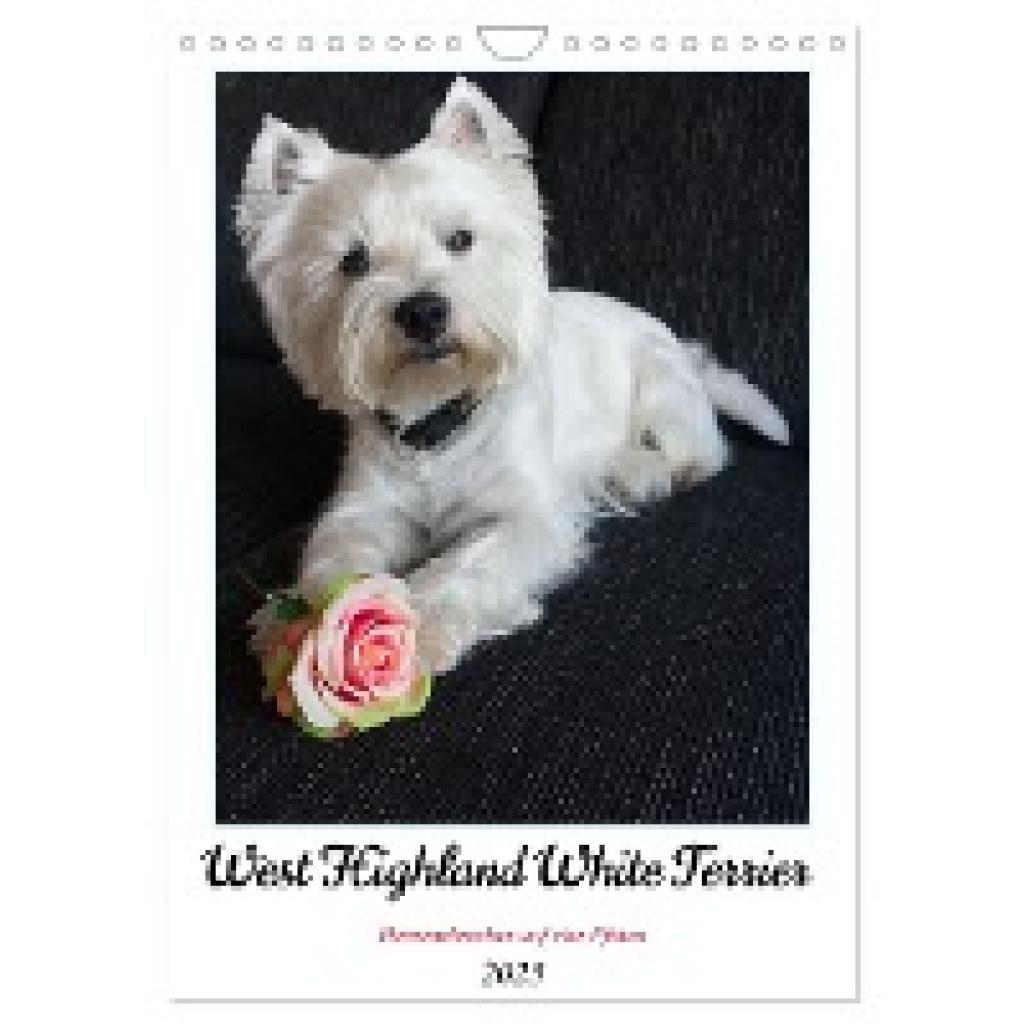 Rohde, Angela: West Highland White Terrier - Herzensbrecher auf vier Pfoten (Wandkalender 2025 DIN A4 hoch), CALVENDO Mo