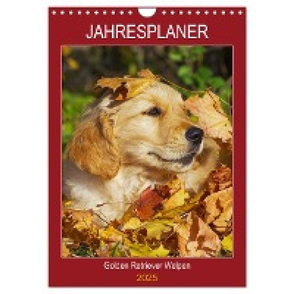 Starick, Sigrid: Jahresplaner Golden Retriever Welpen (Wandkalender 2025 DIN A4 hoch), CALVENDO Monatskalender