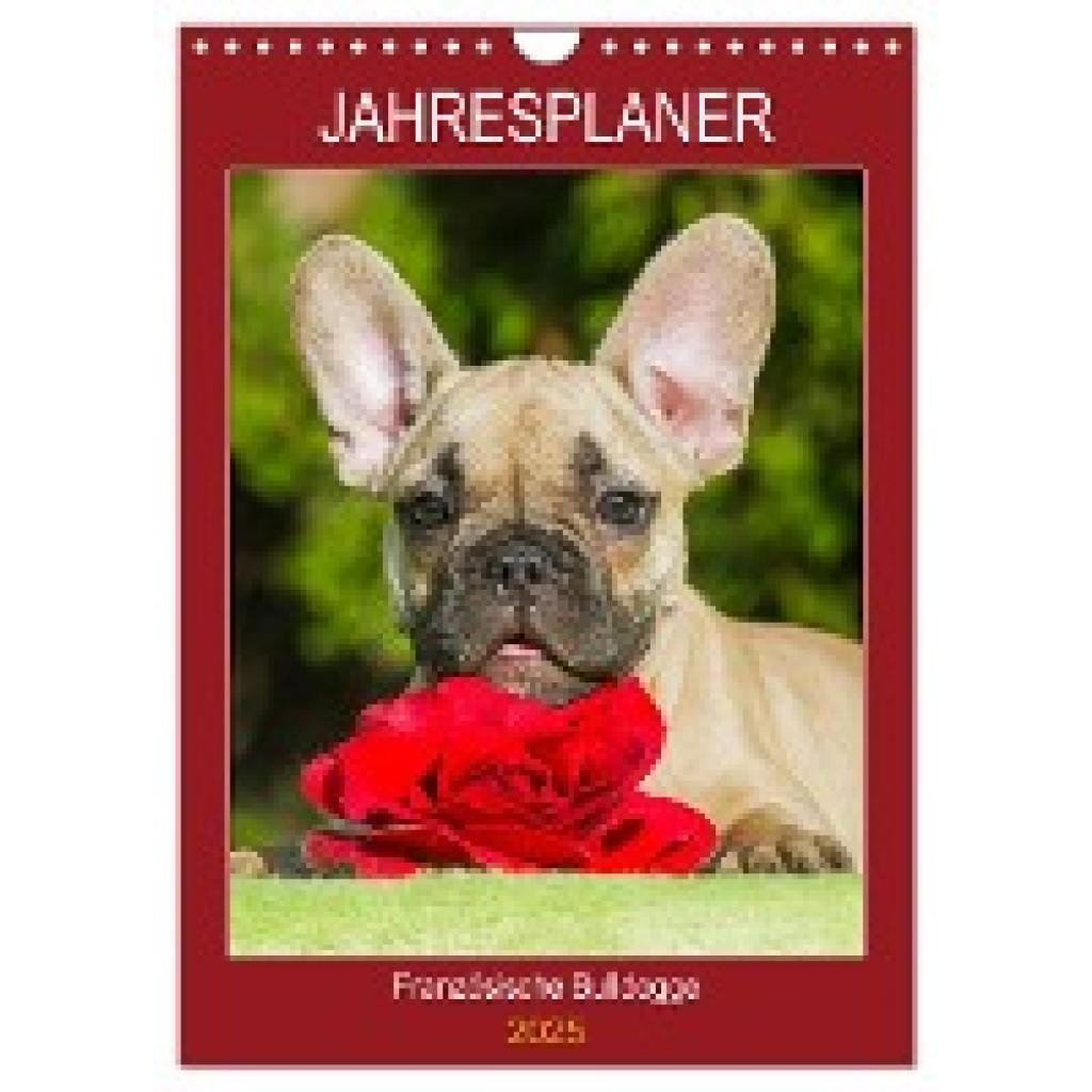 Starick, Sigrid: Jahresplaner Französische Bulldogge (Wandkalender 2025 DIN A4 hoch), CALVENDO Monatskalender