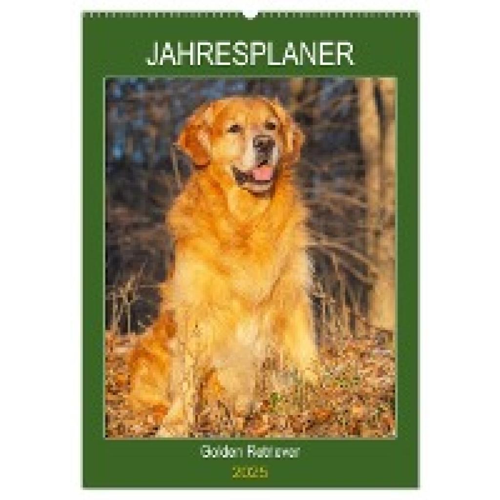 Starick, Sigrid: Jahresplaner Golden Retriever (Wandkalender 2025 DIN A2 hoch), CALVENDO Monatskalender