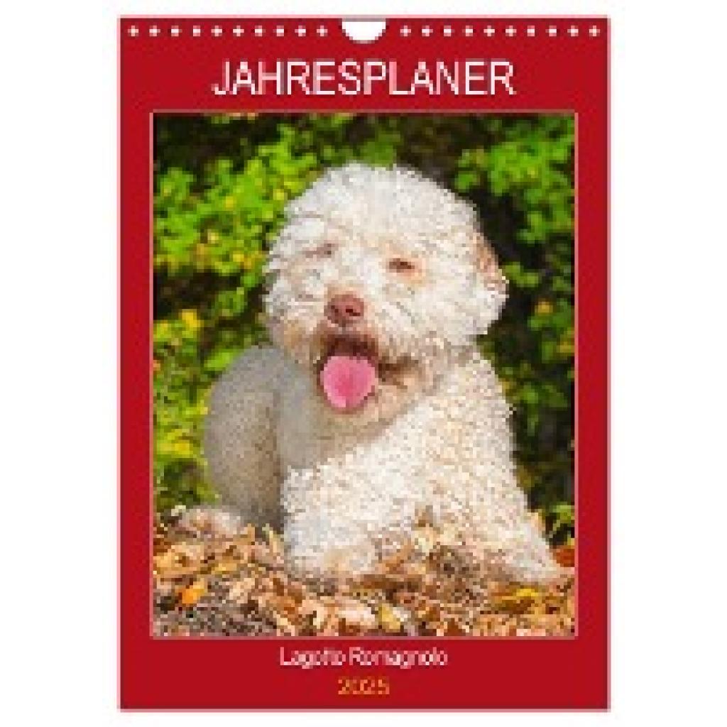 Starick, Sigrid: Jahresplaner Lagotto Romagnolo (Wandkalender 2025 DIN A4 hoch), CALVENDO Monatskalender