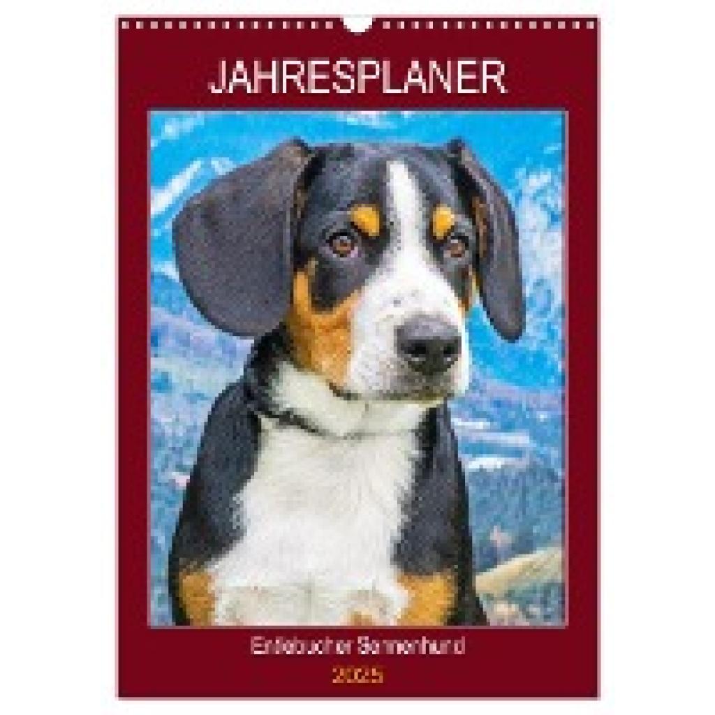 Starick, Sigrid: Jahresplaner Entlebucher Sennenhund (Wandkalender 2025 DIN A3 hoch), CALVENDO Monatskalender