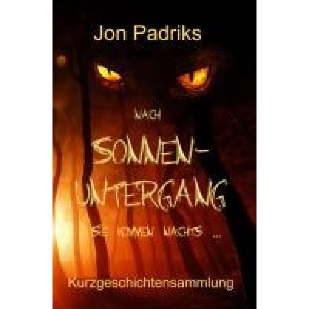 9783985280346 - Nach Sonnenuntergang - Jon Padriks Taschenbuch