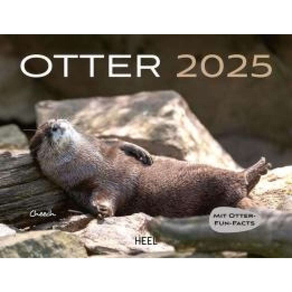 Otter Kalender 2025 Wandkalender