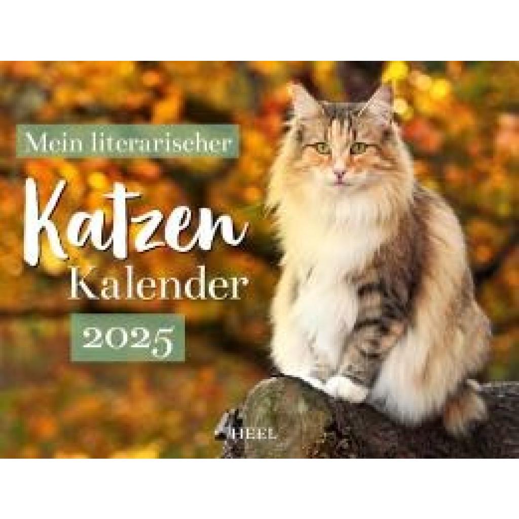 Mein Literarischer Katzenkalender 2025 Wandkalender