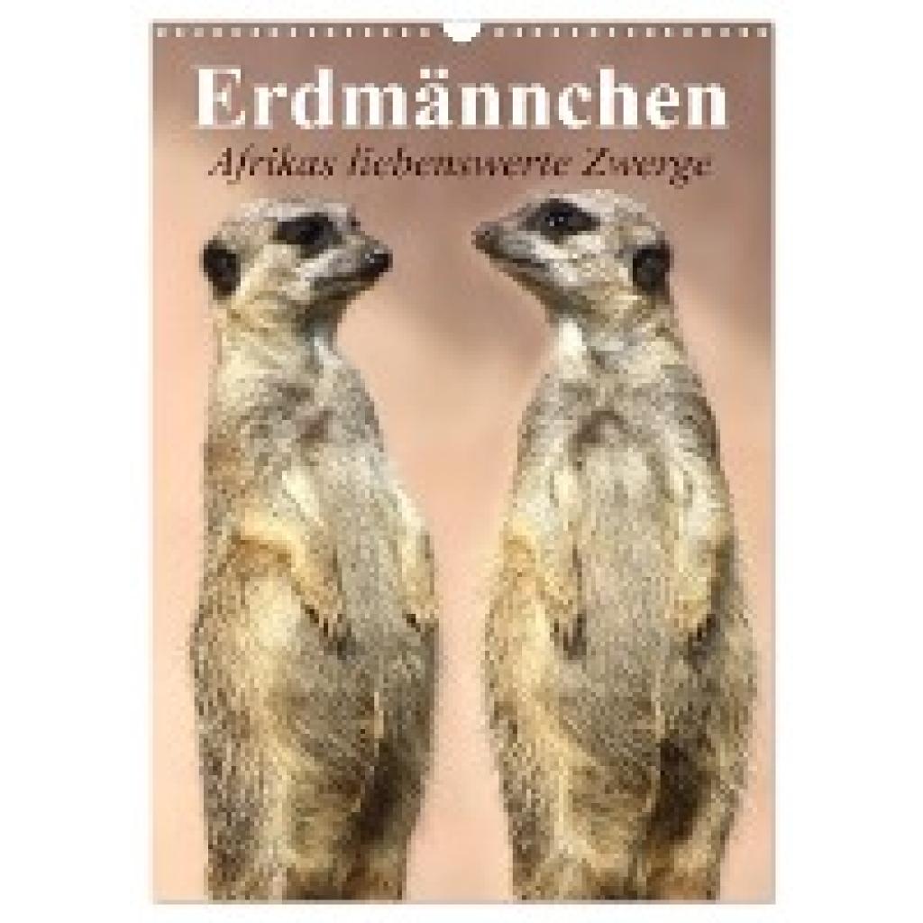 Stanzer, Elisabeth: Erdmännchen - Afrikas liebenswerte Zwerge (Wandkalender 2025 DIN A3 hoch), CALVENDO Monatskalender