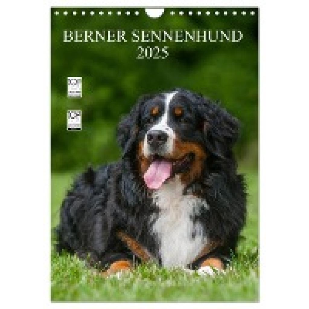 Starick, Sigrid: Berner Sennenhund 2025 (Wandkalender 2025 DIN A4 hoch), CALVENDO Monatskalender