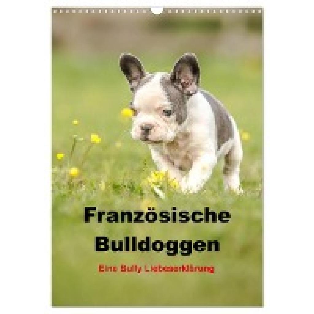 Obermüller, Yvonne: Französische Bulldoggen - Eine Bully Liebeserkärung (Wandkalender 2025 DIN A3 hoch), CALVENDO Monats