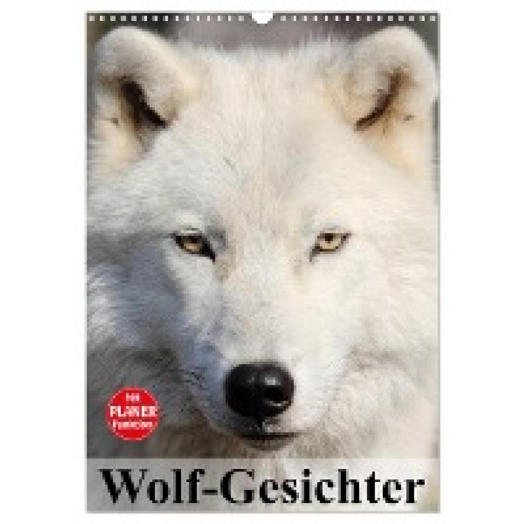 Stanzer, Elisabeth: Wolf-Gesichter (Wandkalender 2025 DIN A3 hoch), CALVENDO Monatskalender