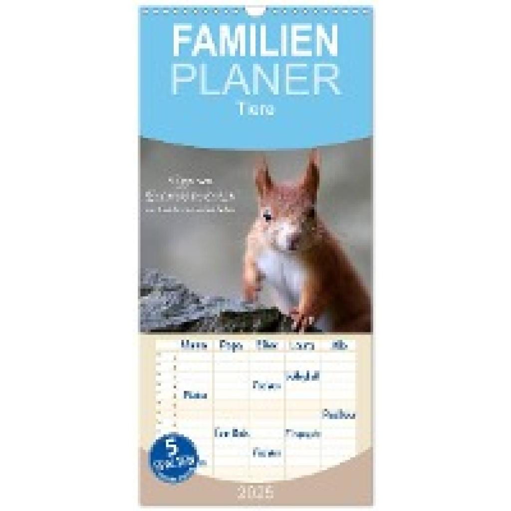 Cerny, Birgit: Familienplaner 2025 - Tipps von Eichhörnchen an Eichhörnchenliebhaber mit 5 Spalten (Wandkalender, 21 x 4