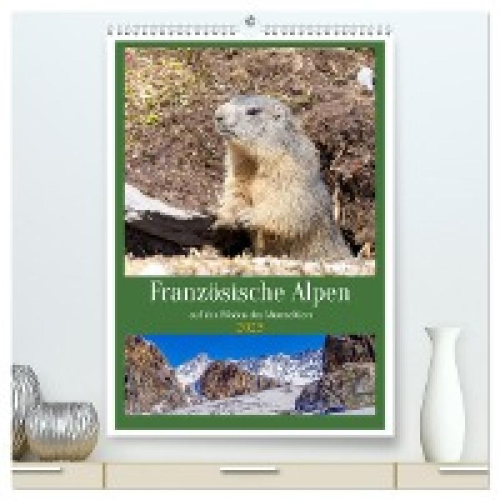 Gaymard, Alain: Französische Alpen, auf den Pfaden des Murmeltiers (hochwertiger Premium Wandkalender 2025 DIN A2 hoch),