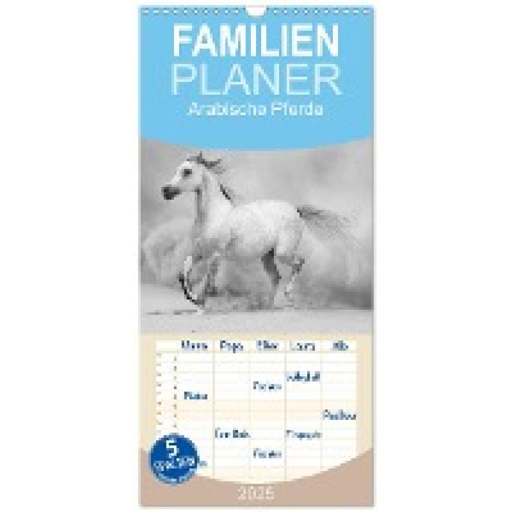 Stanzer, Elisabeth: Familienplaner 2025 - Arabische Pferde mit 5 Spalten (Wandkalender, 21 x 45 cm) CALVENDO