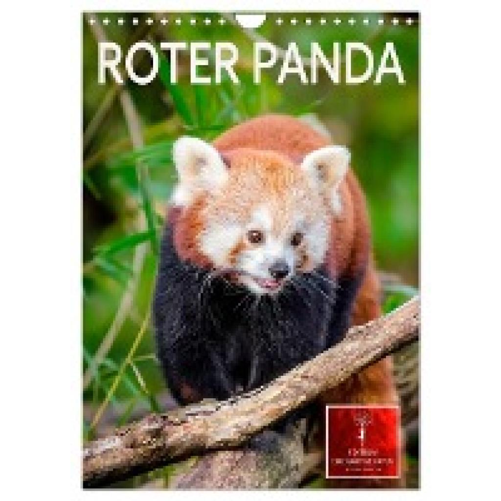 Roder, Peter: Roter Panda (Wandkalender 2025 DIN A4 hoch), CALVENDO Monatskalender