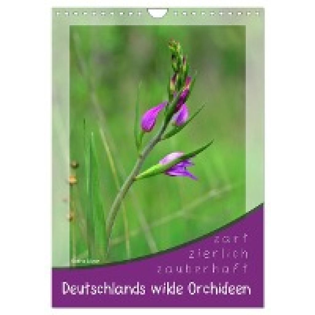 Löwer, Sabine: Deutschlands wilde Orchideen (Wandkalender 2025 DIN A4 hoch), CALVENDO Monatskalender