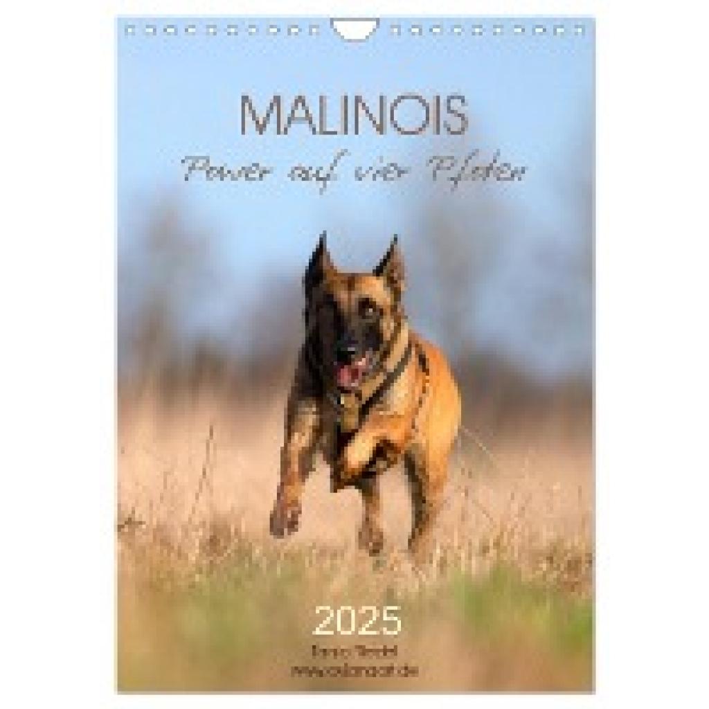 Riedel, Tanja: Malinois Power auf vier Pfoten (Wandkalender 2025 DIN A4 hoch), CALVENDO Monatskalender