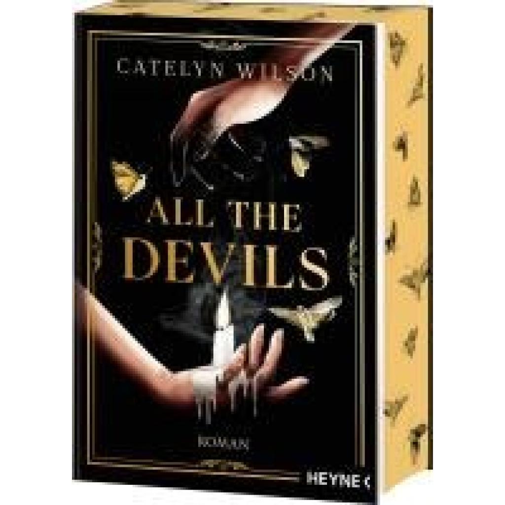 9783453323346 - Wilson Catelyn All the Devils