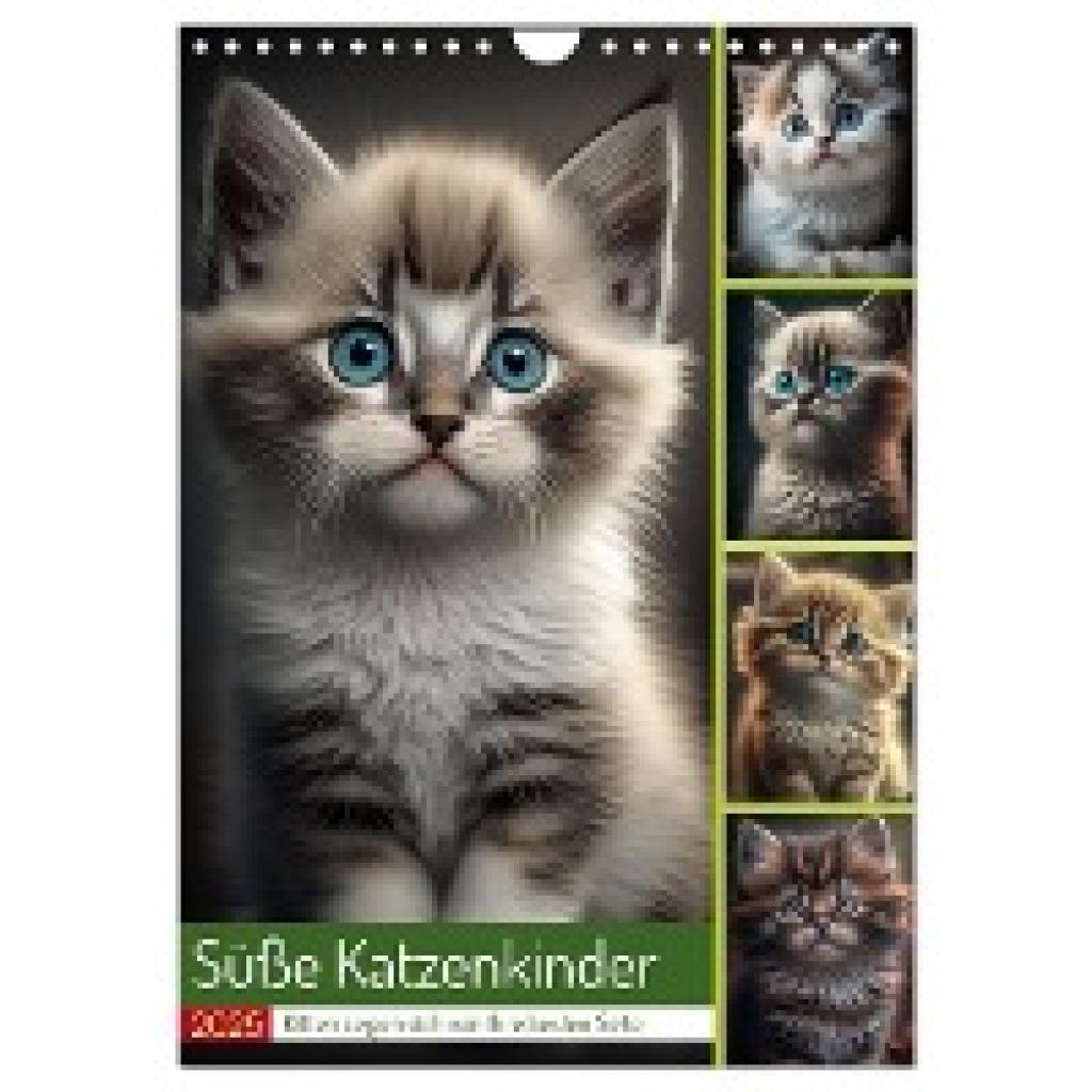 Gierok-Latniak, Steffen: Süße Katzenkinder (Wandkalender 2025 DIN A4 hoch), CALVENDO Monatskalender