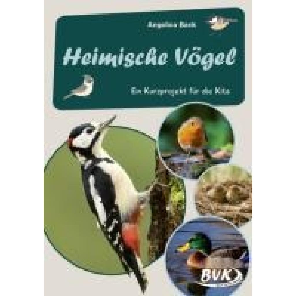 Back, Angelica: Heimische Vögel -