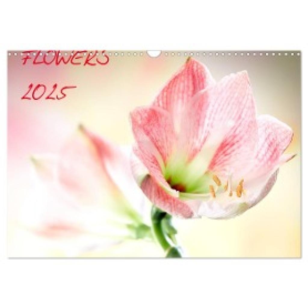 Und Max Waldecker, Axel: Flowers / 2025 (Wandkalender 2025 DIN A3 quer), CALVENDO Monatskalender