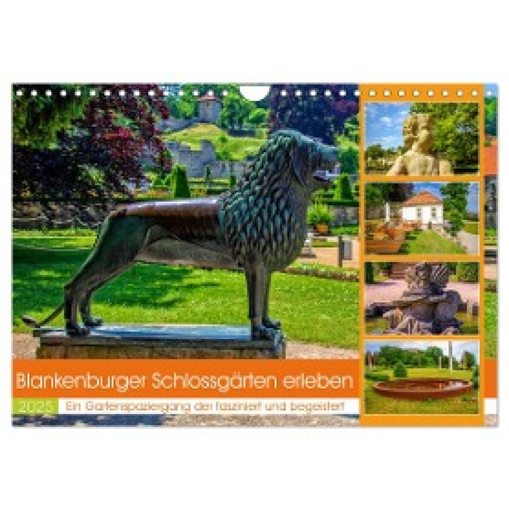 Felix, Holger: Blankenburger Schlossgärten erleben (Wandkalender 2025 DIN A4 quer), CALVENDO Monatskalender