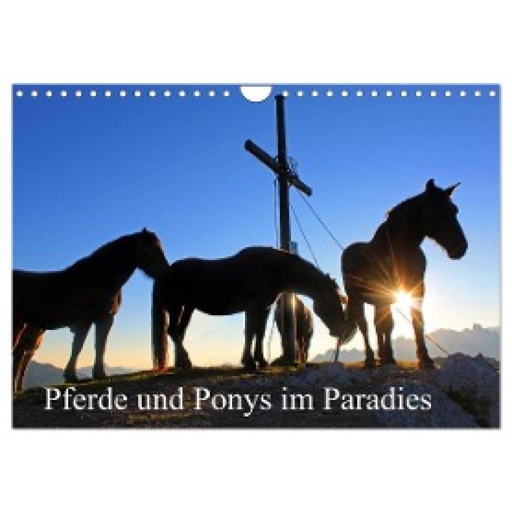 Kramer, Christa: Pferde und Ponys im Paradies (Wandkalender 2025 DIN A4 quer), CALVENDO Monatskalender