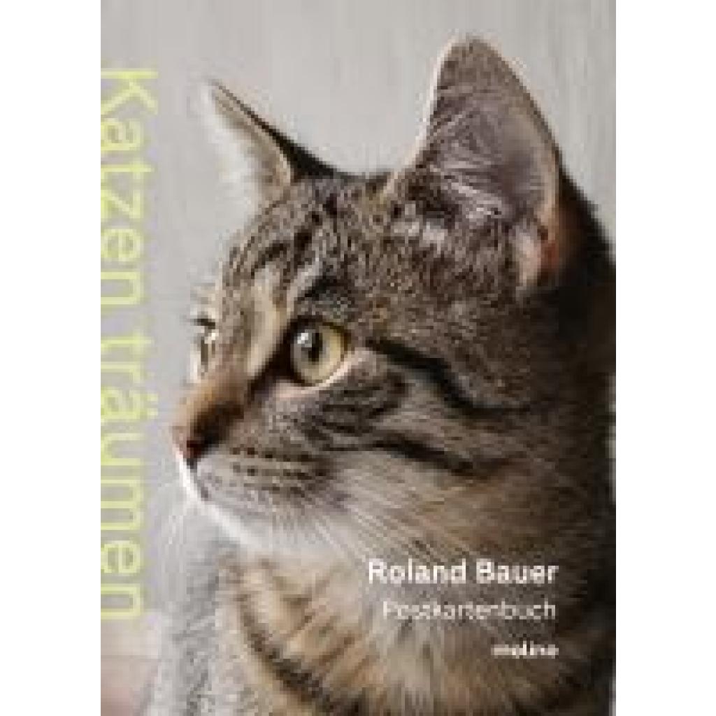 Bauer, Roland: Katzen träumen